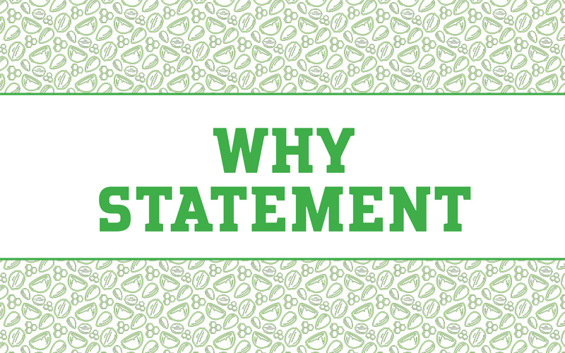 Within Without Branding Deck — Why Statement